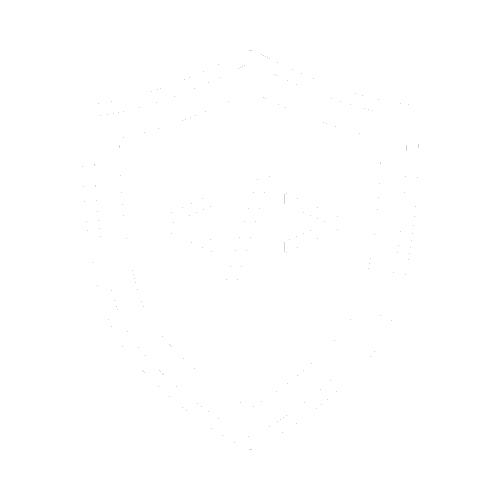Backup Master Logo